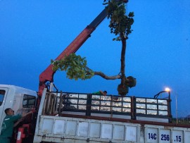 BẢO DƯỠNG CẨU TỰ HÀNH CHUYÊN NGHIỆP: AN TOÀN TUYỆT ĐỐI & BỀN BỈ CÙNG HOÀNG PHÁT | HOTLINE: 0913.581.951