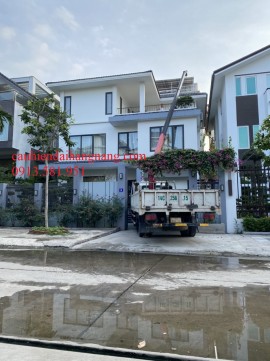 DỊCH VỤ THUÊ XE CẨU TỰ HÀNH CHUYÊN DỤNG PHỤC VỤ CÔNG TÁC DI DỜI, VẬN CHUYỂN CÂY XANH LIÊN HỆ: 0913.581.951