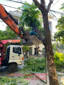 THUÊ XE CẨU TRỌN GÓI GIÁ RẺ TẠI CẨM PHẢ LIÊN HỆ: 0913.581.951