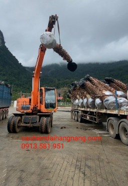 CHO THUÊ XE CẨU - VẬN CHUYỂN CÂY CẢNH TẠI NHÀ VƯỜN HOÀNH BỒ LIÊN HỆ: 0913.581.951