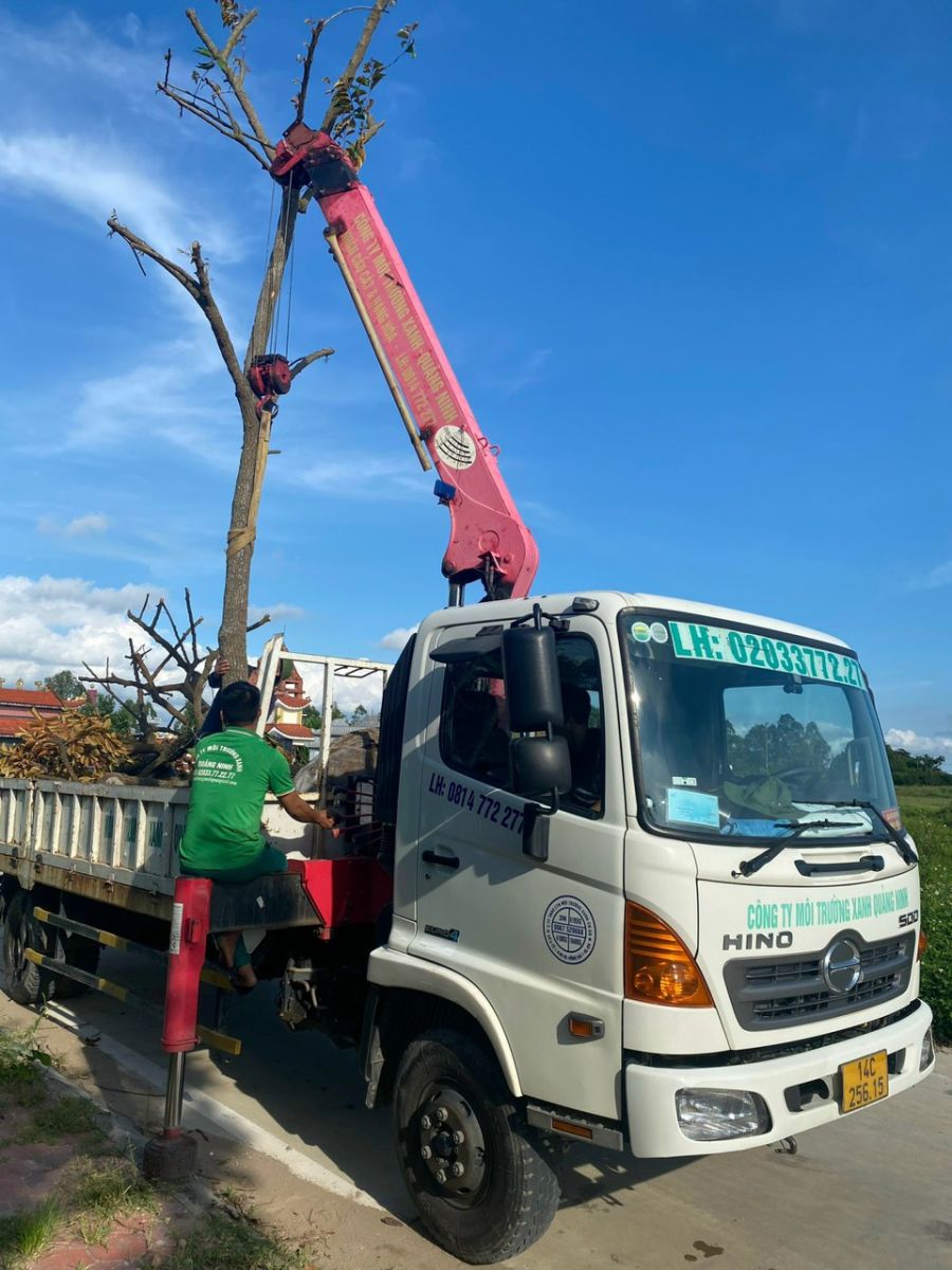 hình ảnh xe cẩu của đơn vị 